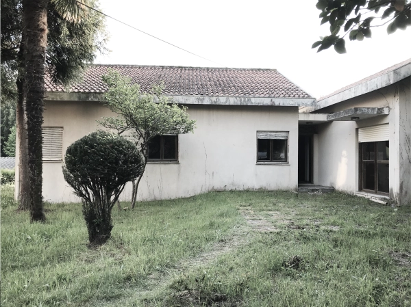 reabilitação nogueira
 - Image 1