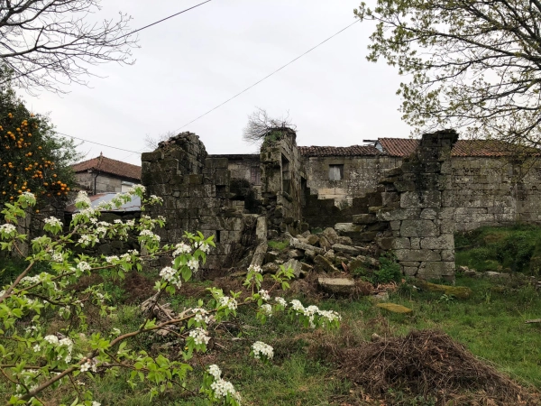 reabilitação ribeira de pena
 - Image 1